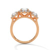 “Celebrate everlasting love with a three-stonehalo diamond ring that shines with brilliant sparkle, luxury craftsmanship, and timeless elegance.”