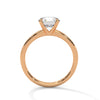 “Celeste Ring—round brilliant diamond sparkle, secure six-prong solitaire elegance, and timeless white-gold beauty crafted to symbolize enduring love and classic sophistication.”